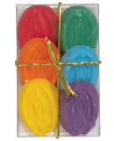 Bite Size Pussies - Rainbow Pack of 6