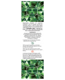EXSENS of Paris Organic Massage Oil w-Stones - Aventurine Avacado