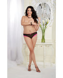 Stretch Mesh Cheeky Panty w-Lace Trim - Frisky, Steamy, Sexy Pack of 3 Asst. 1X-2X