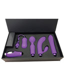 DORR Mystic Switchable Head Vibe Set - Purple Set of 4