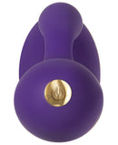 Evolved Aurora- Purple