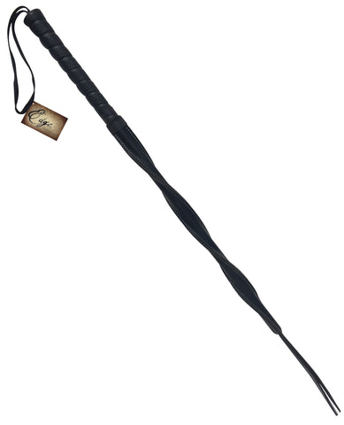 Edge Twisted Whip