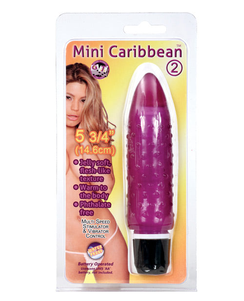 Mini Caribbean Vibe #2 - Purple