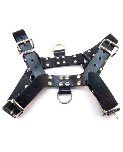 Rouge Over the Head Medium Harness