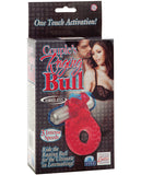 Couples Raging Bull